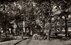Senftenberg